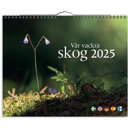 Vggkalender Vr v. skog 2025